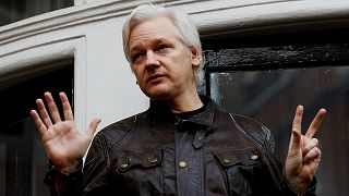 WikiLeaks say founder Julian Assange is victim of 'extensive spying operation'