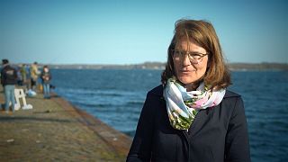 Élevage de moules : "Une bonne chose pour la Baltique et pour les hommes"