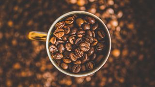دراسة ثورية: سويسرا تدعي أن القهوة ليست ضرورية لبقاء البشرية