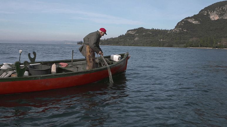 ¿Puede el calentamiento global dejarnos sin peces? ¿Puede el calentamiento global dejarnos sin peces?