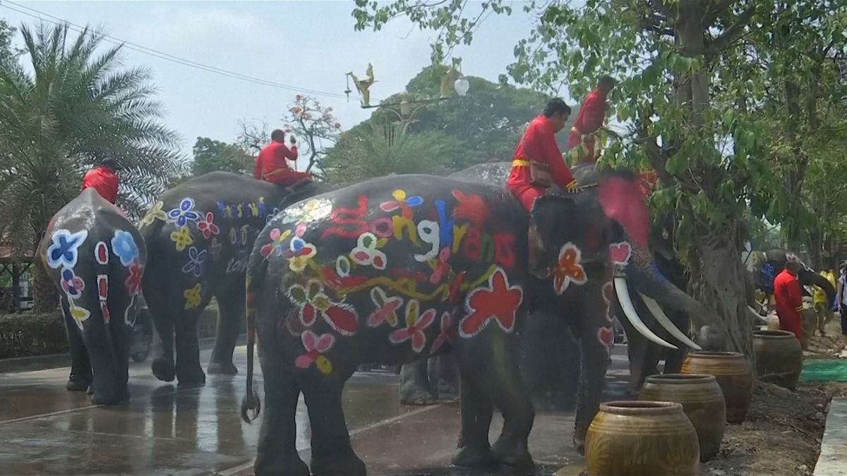 Coulourful elephants spray water as Thailand toasts its new year