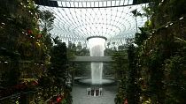 Watch: Singapore Airport now boasts an internal 40-metre-high waterfall