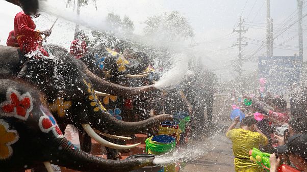 Uomini contro elefanti: la grande battaglia d'acqua in Thailandia Uomini contro elefanti: la grande battaglia d'acqua in Thailandia