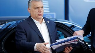 Hökmark: Orbán nemcsak Magyarországnak, hanem a Fidesznek is probléma