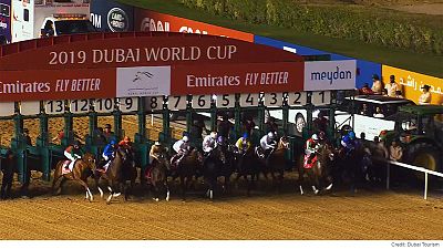 Dubai World Cup: the richest day in horse racing