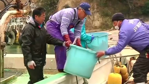 Güney Kore DTÖ mücadelesini kazandı: Japon deniz ürünlerine kısıtlama sürecek Güney Kore DTÖ mücadelesini kazandı: Japon deniz ürünlerine kısıtlama sürecek
