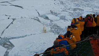 Only 5% of visitors to the Russian Arctic National Park are Russian