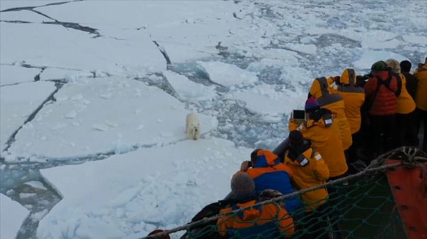 Only 5% of visitors to the Russian Arctic National Park are Russian Only 5% of visitors to the Russian Arctic National Park are Russian