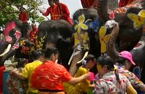 گلچین ویدئوهای هفته؛ از آب‌بازی با فیل‌ها در تایلند تا سیل در برزیل