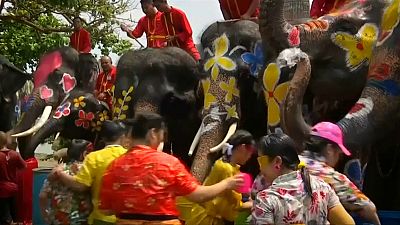 گلچین ویدئوهای هفته؛ از آب‌بازی با فیل‌ها در تایلند تا سیل در برزیل