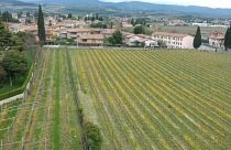 #EUroadtrip: Rundreise durch Europa - Wein im Veneto