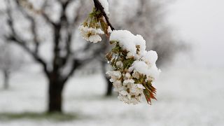 10 der schönsten Bilder vom Schnee - Winterwetter auch zu Ostern?