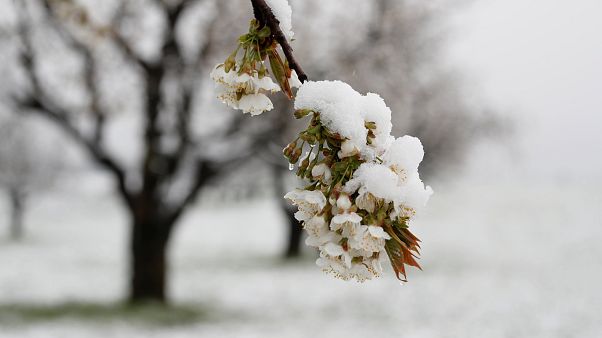10 der schönsten Bilder vom Schnee - Winterwetter auch zu Ostern? 10 der schönsten Bilder vom Schnee - Winterwetter auch zu Ostern?