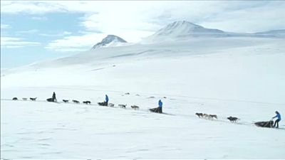سورتمه سواری با سگ در نزدیکی قطب شمال