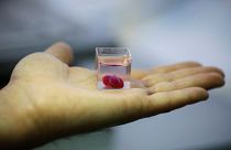 Ученые напечатали сердце на 3D-принтере