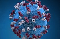 Morbillo: casi triplicati nel primo trimestre del 2019