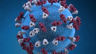 3D-Graphik des Masern-Virus