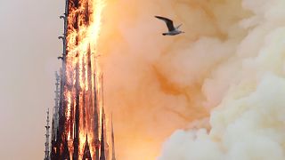 Video | Notre Dame yangınında kulenin yıkılma anı
