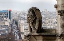 کلیسای جامع نوتردام در دنیای سینما