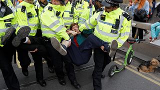Some protesters were carried off by police in London