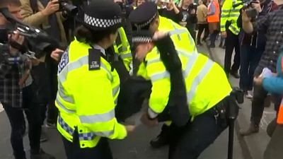 شاهد: الشرطة البريطانية تعتقل 122 متظاهرا من أنصار البيئة في لندن
