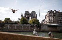 Notre-Dame: akár új tervek szerint is készülhet a leomlott torony