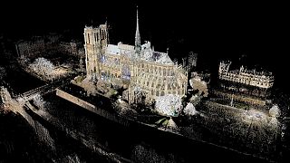 Unique 3D model of Notre Dame cathedral could help reconstruction efforts