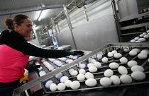 Húsvét előtt az éves fogyasztásunk egyharmadát szerezzük be tojásból