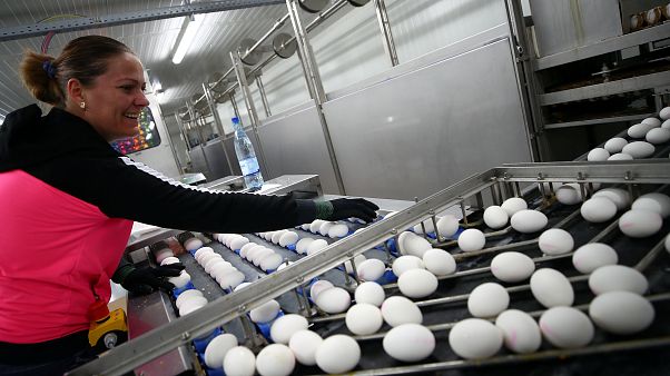 Húsvét előtt az éves fogyasztásunk egyharmadát szerezzük be tojásból Húsvét előtt az éves fogyasztásunk egyharmadát szerezzük be tojásból