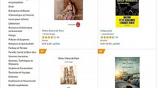 Après l'incendie, "Notre-Dame de Paris" de Victor Hugo en tête des ventes de livres