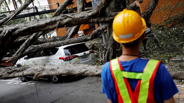 Sisma a Taiwan: stop alla metro e scuole evacuate Sisma a Taiwan: stop alla metro e scuole evacuate