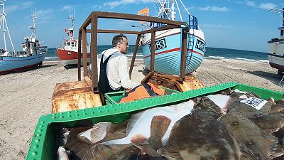Danish fisheries take back control