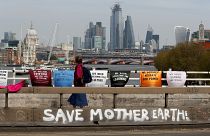 لافتات لجماعات التوعية بالتغير المناخي في لندن