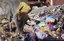 "Végig kell gondolni, hogy mi az, amit tényleg be kell csomagolnunk"