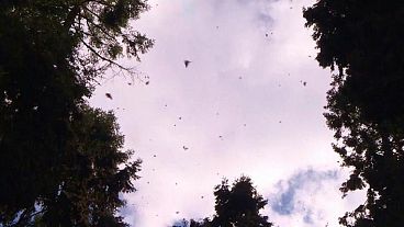 إيران تحذر من "غزو سعودي" هو الأعنف منذ أربعين عاماً