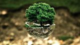 What is Earth Day? | Euronews answers