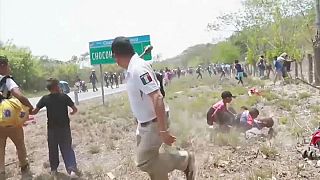 شاهد: الشرطة المكسيكية تعتقل مئات المهاجرين القادمين من أمريكا الوسطى