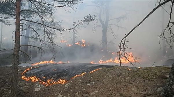 Seca e incêndios assolam a Europa Seca e incêndios assolam a Europa