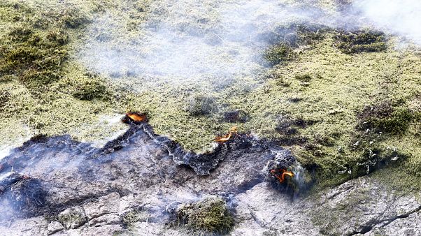 Sweden and Norway 'concerned' by unusual pre-season forest fires Sweden and Norway 'concerned' by unusual pre-season forest fires