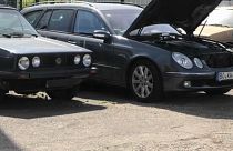 Кампания в защиту дизеля