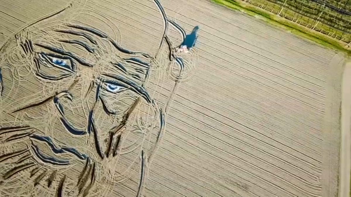 Watch: Leonardo da Vinci renaissance as painter’s portrait ploughed in field