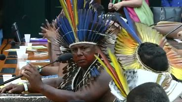 Brazil's indigenous leaders protest in parliament