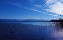 Ellen Schwiers mit 88 am Starnberger See gestorben