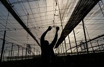 El Ejido: Spaniens Vox-Hochburg