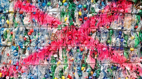 Sondaggio Change.org: gli europei vogliono una Ue più verde e più giusta Sondaggio Change.org: gli europei vogliono una Ue più verde e più giusta