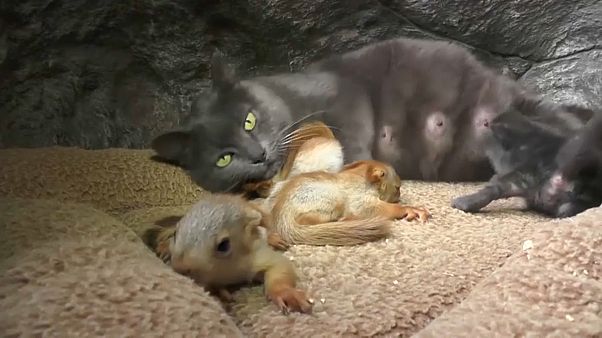 Una familia poco ortodoxa Una familia poco ortodoxa