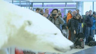 Cowboys und tote Eisbären: Tourismus auf Spitzbergen