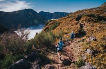 Madeira im Laufschritt: 115 Kilometer rauf und runter