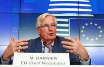 Brexit Başmüzakerecisi Michel Barnier: May hükümeti ve muhalefet görüşmeleri bu hafta sonuçlanacak
