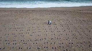 Slapton Sands: Αποτυπώματα στην άμμο στην μνήμη 749 στρατιωτών